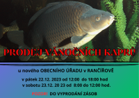 Plakát - prodej kaprů